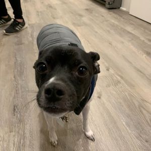 Meet your Posher, Sam